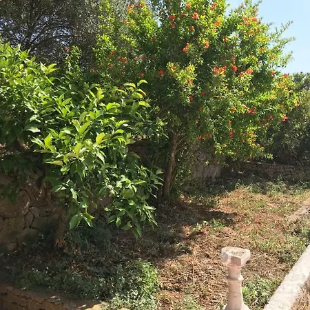 Apartment Peronja Seafront *